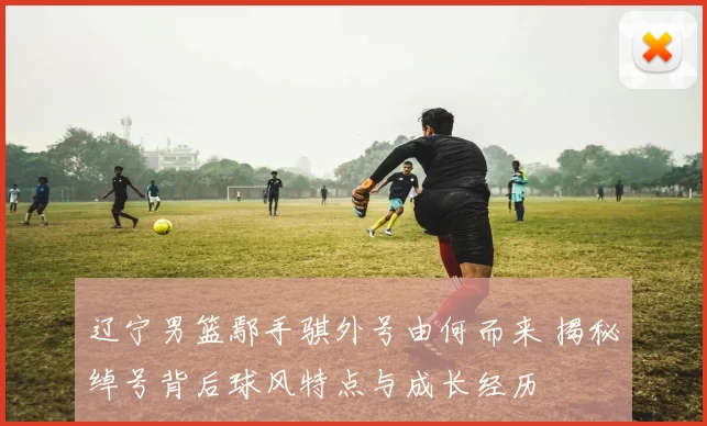 辽宁男篮鄢手骐外号由何而来 揭秘绰号背后球风特点与成长经历