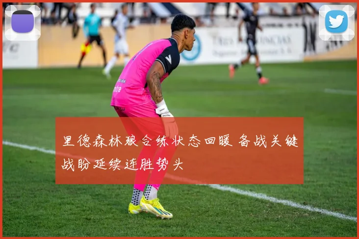 里德森林狼合练状态回暖 备战关键战盼延续连胜势头