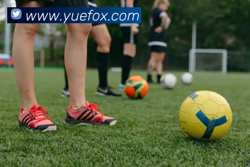 雷竞技RAYBET·(中国)官方网站发展历程